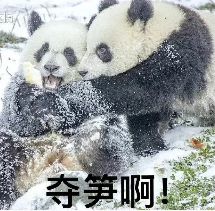 防炸专用图.jpg