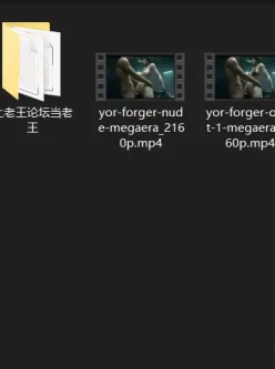 [自行打包] megaera大佬的新作yor-forger（间谍过家家的约尔）4K 1币 [V3+441.98M][百度盘]